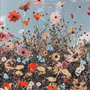 Meet your Posher, Tara — thank you for shopping 🌟